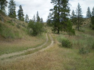 Trail heads north through a series of meadows, Oliver Mtn East Trail 2012-06.